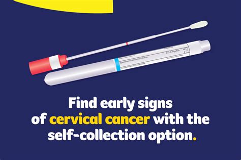 smear test cervix hard to find|cervical cancer testing.